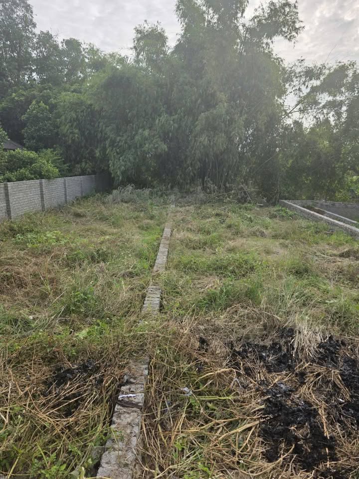 Đất nền Nguyệt Đức, Thuận Thành 102m² giá 1.65 tỷ - Đường ô tô vào tận nơi!