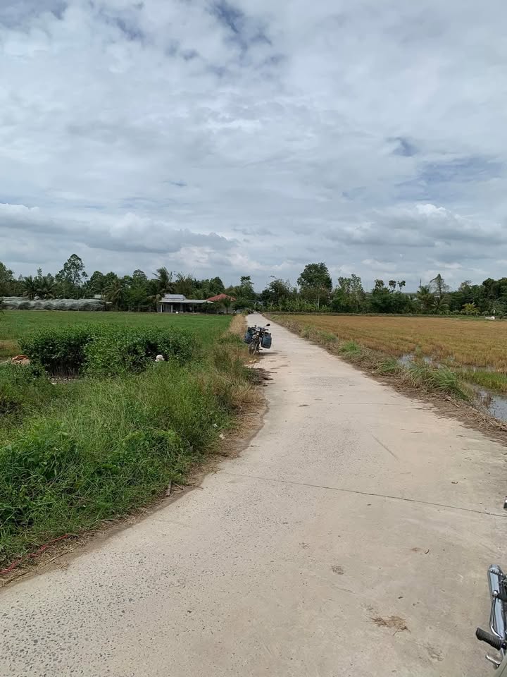 Đất Lúa Thới Thạnh 2, Thốt Nốt 40.000m² giá chỉ 300 triệu - Cơ hội đầu tư tiềm năng!