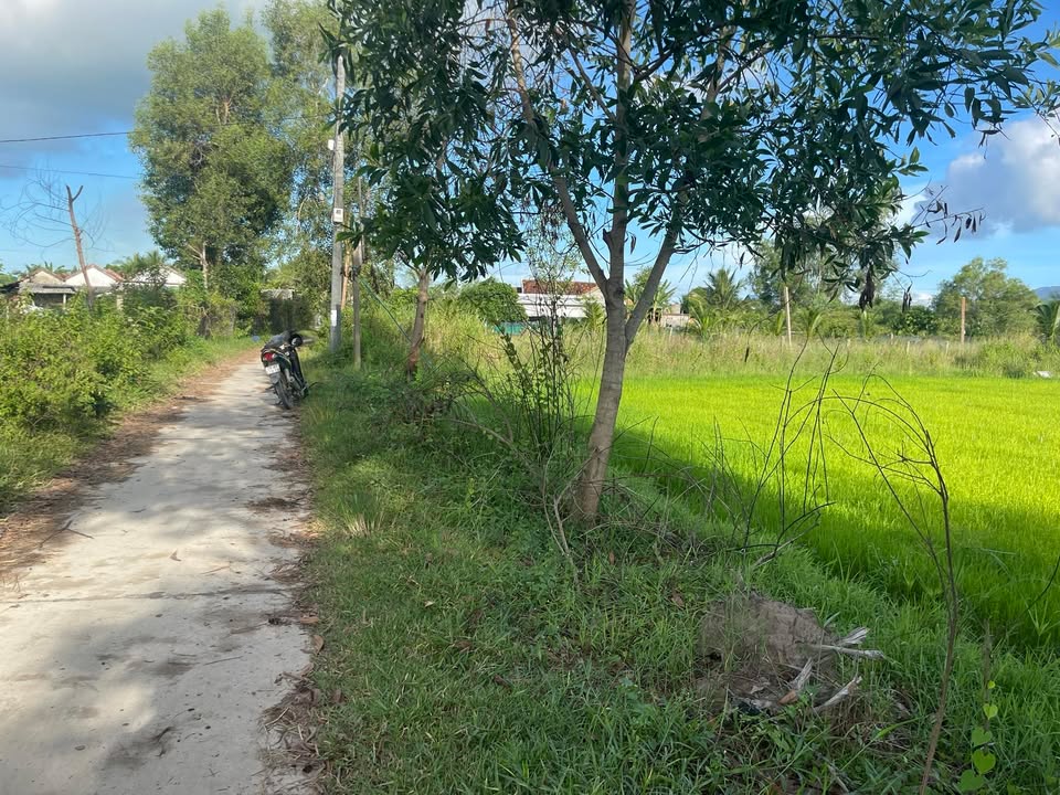 Đất vườn Ninh Trung, Ninh Hòa 800m² giá chỉ 299 triệu - Cơ hội đầu tư tốt!