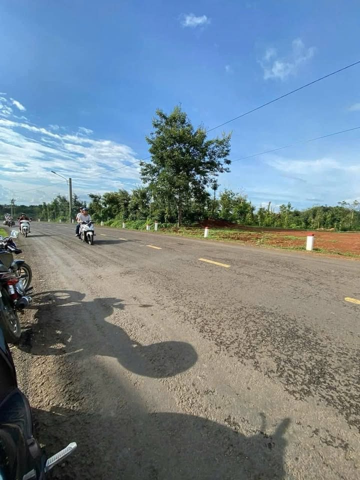 Đất mặt tiền Tỉnh lộ 5, Cư Êbur 800m² giá 800 triệu - Cơ hội đầu tư không thể bỏ lỡ!