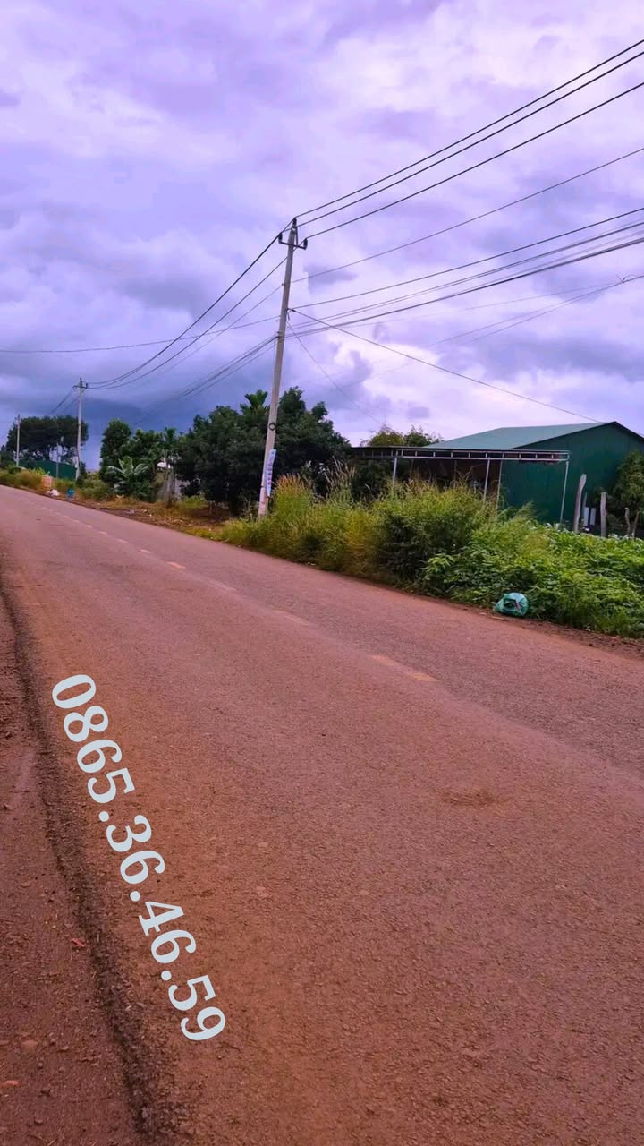 Đất mặt tiền xã Cư Mgar 500m² giá 12 tỷ - Đầu tư sinh lời cao!