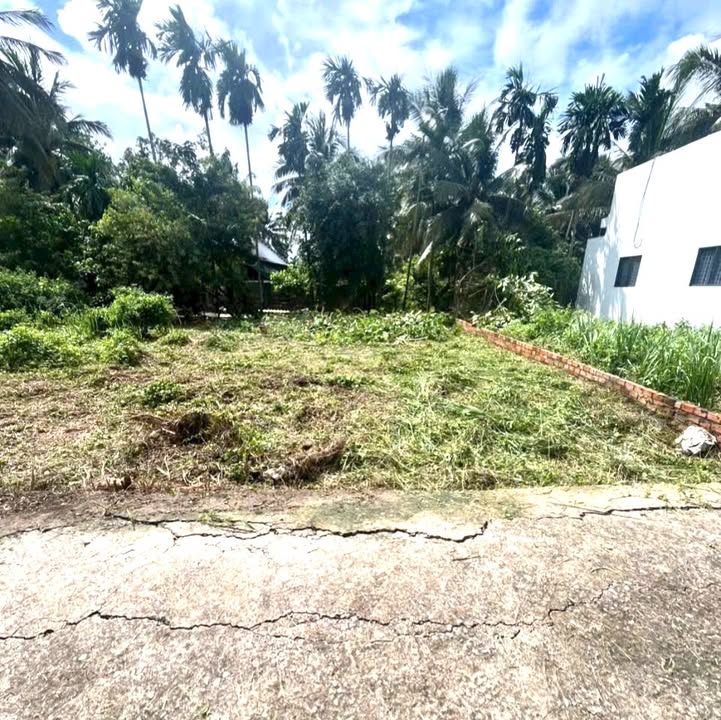 Đất thổ cư Sơn Đông Bến Tre 132m² giá 539 triệu - Đầu tư sinh lời ngay!