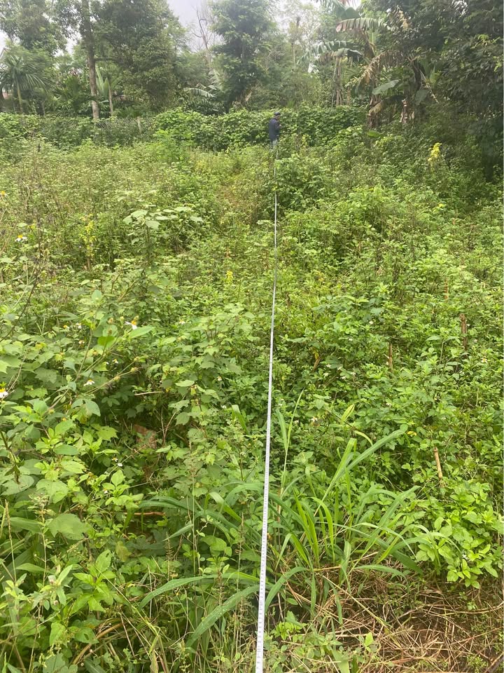 Đất Mậu Thân Buôn Ma Thuột 125m² giá 920 triệu - Đầu tư sinh lời ngay!