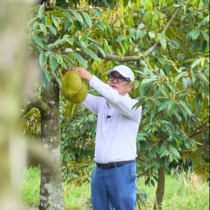 Đất Farm ven suối Đạ Huoai 13.000m² giá 8.9 tỷ - Cơ hội đầu tư sinh lời!