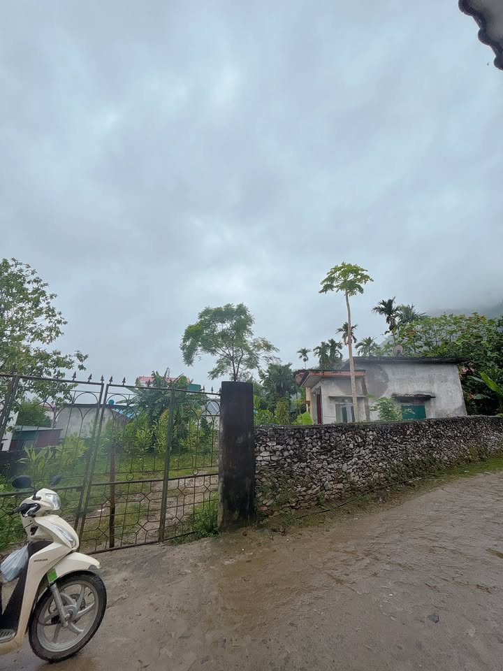 Đất nền Kim Bôi Hòa Bình 607m² giá 6 tỷ - Sổ đỏ chính chủ, vị trí đẹp!