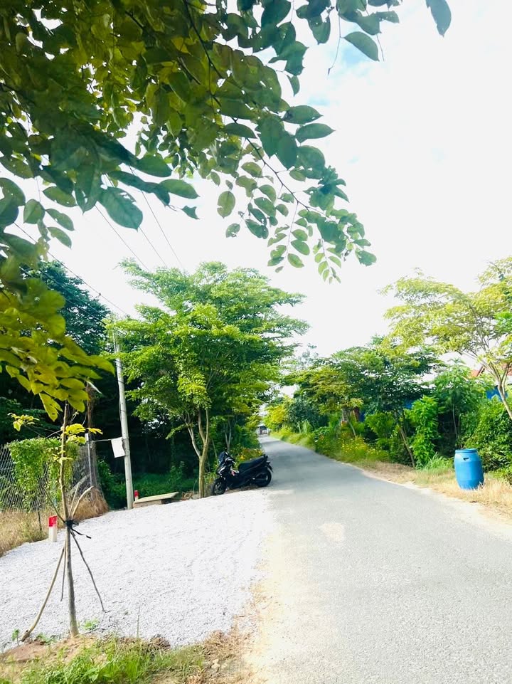 Đất nền Trần Thị Rộng, Củ Chi 187m² - Xây dựng tự do, giá tốt chỉ 2.35 tỷ!