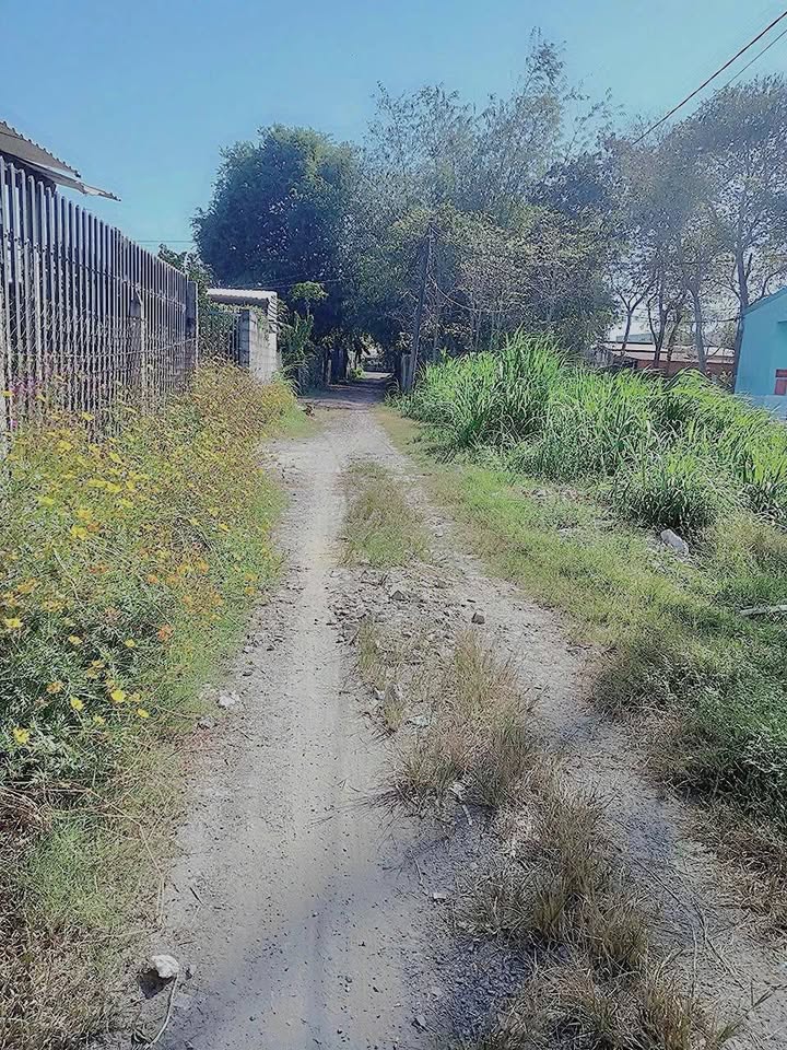 Đất nền Nhuận Đức Củ Chi 1493m² giá 6.9 tỷ - Đầu tư sinh lời lâu dài!