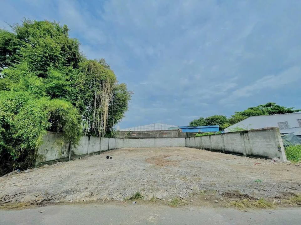 Đất thổ cư Tân Thông Hội, Củ Chi 277m² giá 4.5 tỷ - Đầu tư sinh lời ngay!