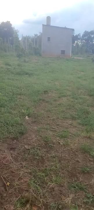 Đất nông nghiệp xã Cuôr Đăng 13.000m² giá 4.68 tỷ - Đường ô tô vào tận nơi!