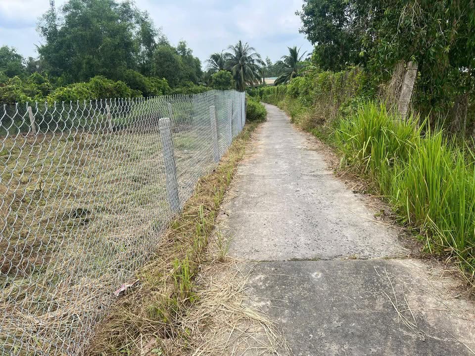 Đất thổ cư 928.7m² tại Hẻm 229, Đường Lưu Nhơn Sâm, Bình Minh - Giá chỉ 2 tỷ!