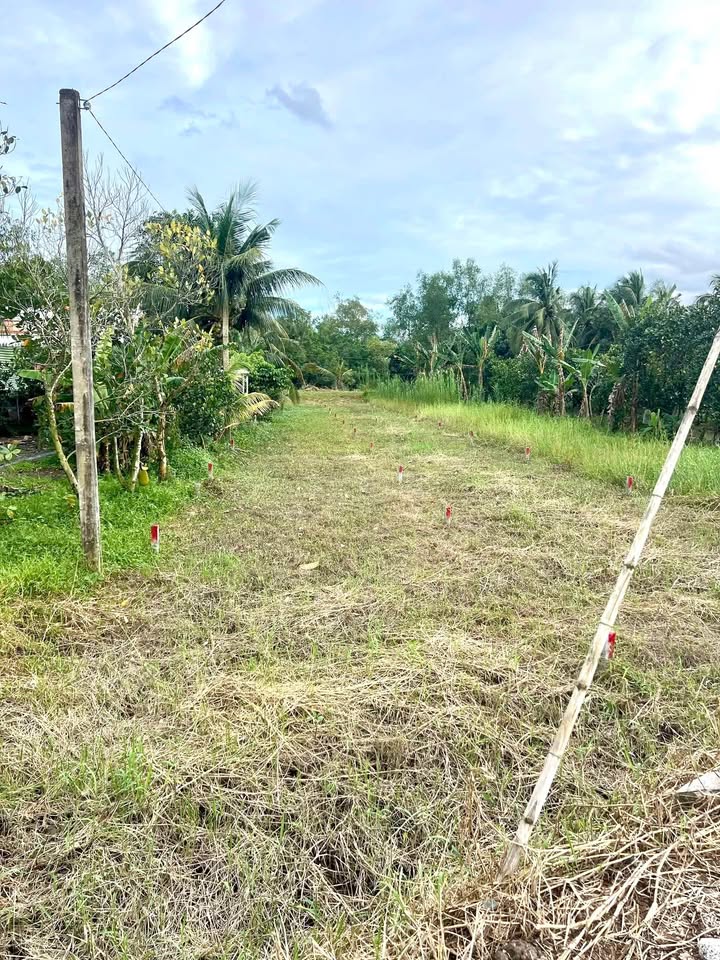 Đất nền đẹp tại xã Tân Lược, Bình Tân, Vĩnh Long 700m² - Giá chỉ 999 triệu!