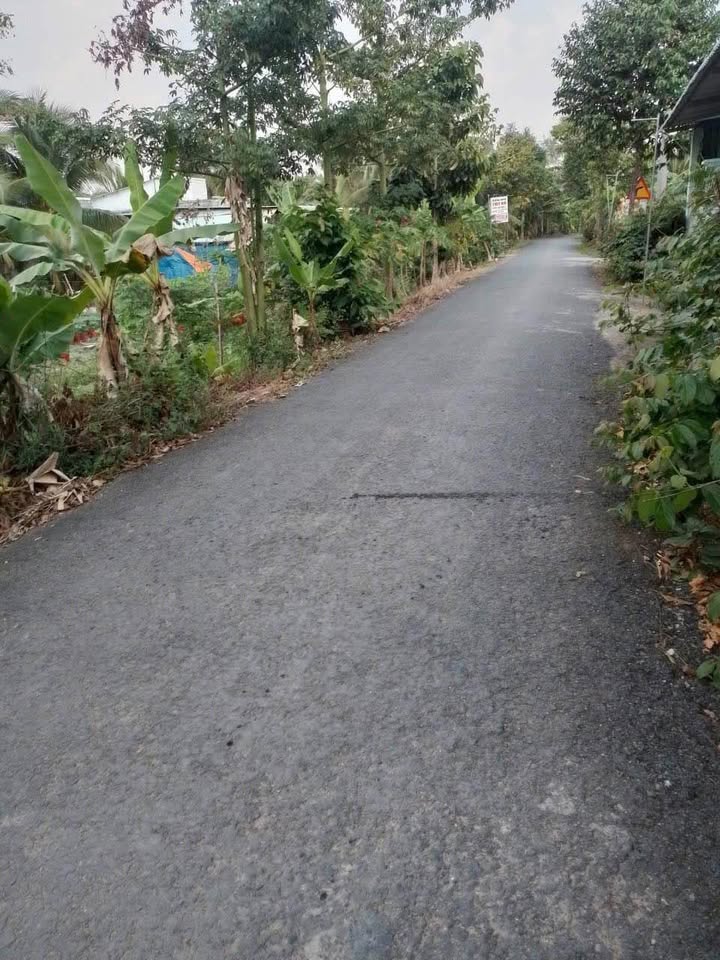 Đất nền Tân Hội Vĩnh Long 147m² giá 650 triệu - Thích hợp buôn bán!