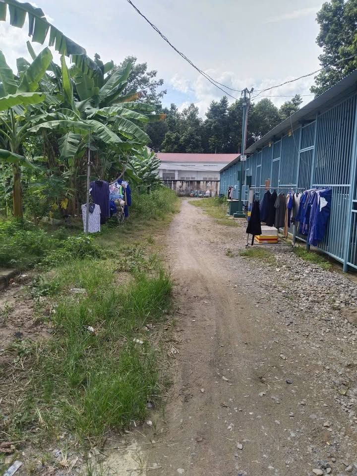 Đất nền Phước Thiền Nhơn Trạch 115m² giá chỉ 1.1 tỷ - Khu dân cư đông đúc!