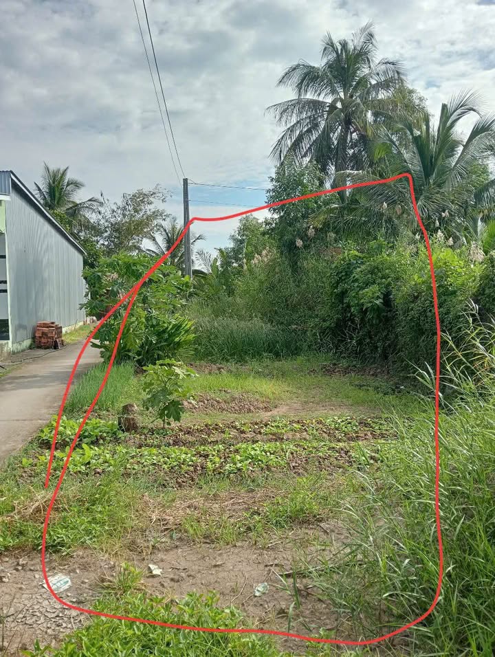 Đất nền Khánh Tiến, U Minh, Cà Mau 378m² giá chỉ 100 triệu - Sổ giấy tay công chứng!