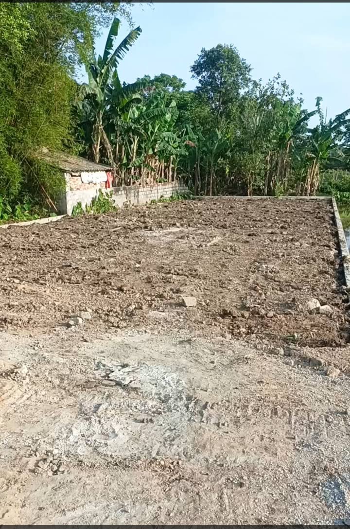 Đất nền Quảng Định 135m² giá đầu tư - Cơ hội vàng cho nhà đầu tư!