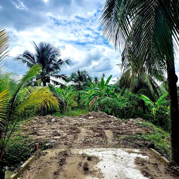 Đất mặt tiền Huyện lộ 90C, Mỹ Phong, 275m² - Tiềm năng phát triển mạnh!