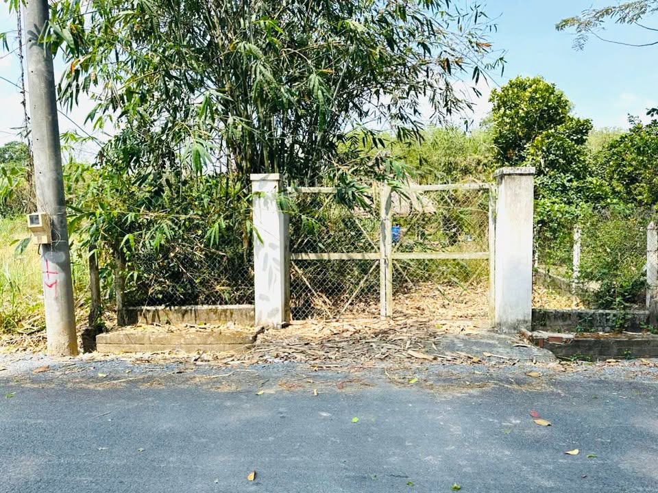 Đất thổ cư 443m² đường 507, Nhuận Đức, Củ Chi - Giá chỉ 2.2 tỷ, cơ hội đầu tư tuyệt vời!