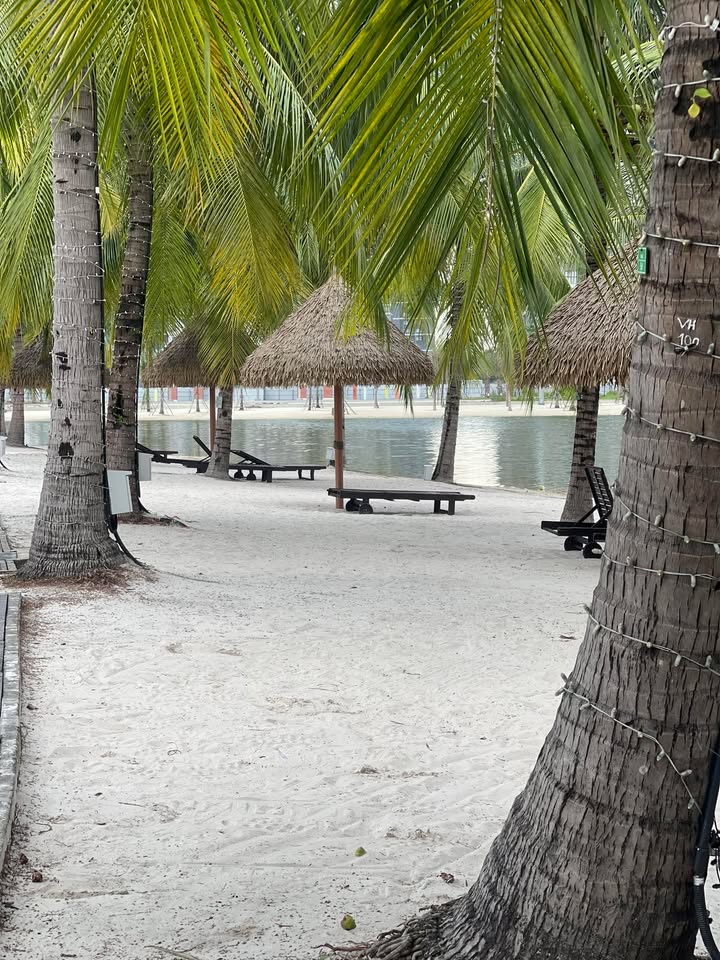 Nhà cấp 4 hẻm xe hơi Lã Xuân Oai, Trường Thạnh 78m² giá 4.5 tỷ - Đầu tư sinh lời nhanh chóng!