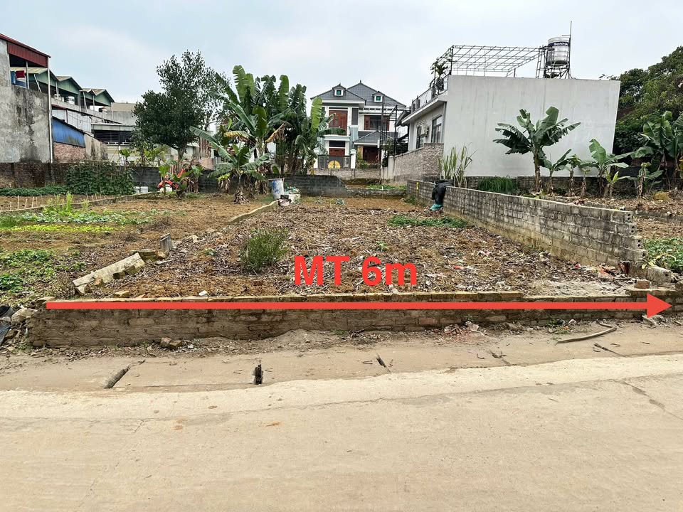 Đất nền Phú Hữu, Hòa Lạc 120m² - Vị trí đắc địa gần Đại học FPT!