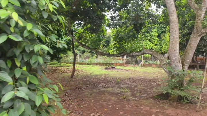 Đất nền 200m² tại phường Xuân Lập, Long Khánh - Giá chỉ 929 triệu!