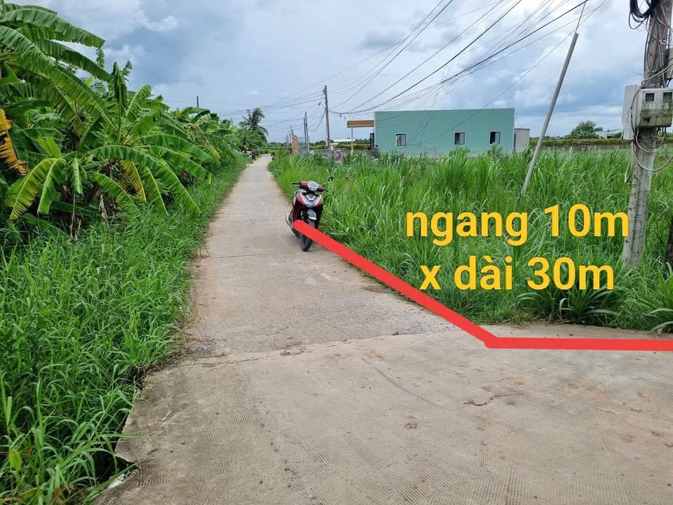 Đất thổ cư Bình Quới, Châu Thành, Long An 300m² giá 550 triệu - Cơ hội đầu tư lý tưởng!