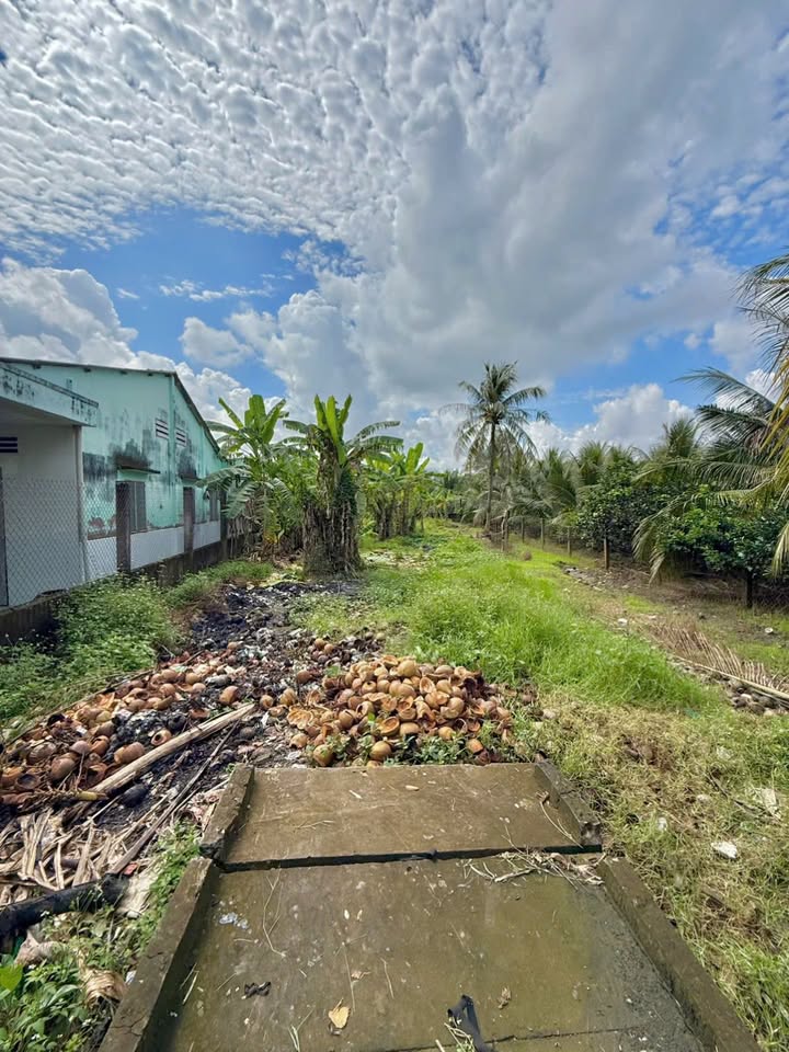 Đất mặt tiền HL 90E, Đạo Thạnh, Mỹ Tho 476m² giá 2.99 tỷ - Vị trí đắc địa xây nhà vườn