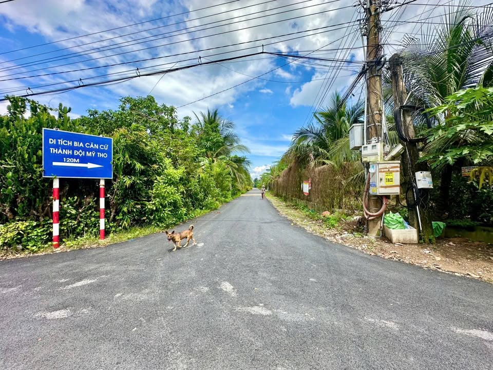 Bán đất mặt tiền Đường Huyện 92B, Đạo Thạnh, TP Mỹ Tho 179m² - Đầu tư sinh lời ngay!