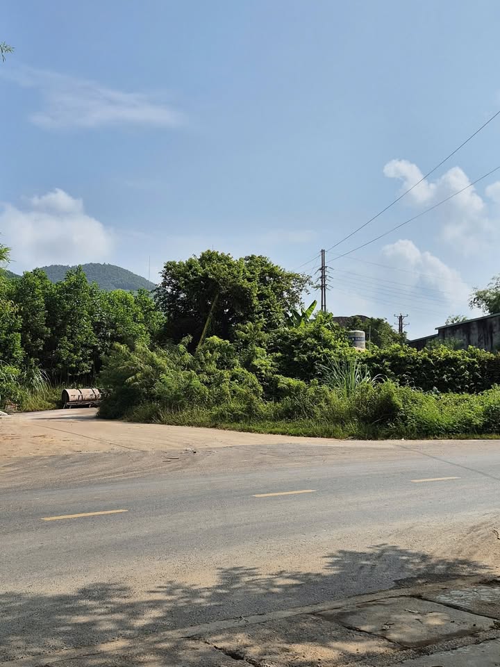 Đất thổ cư mặt đường Quốc lộ 17, phường Linh Sơn, 133m² giá 1.45 tỷ - Bán gấp trong 10 ngày!