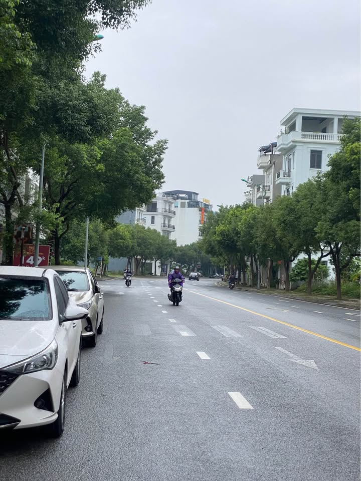 Shophouse mặt tiền Lý Nam Đế, Vĩnh Yên 120m² giá chỉ 6 tỷ - Đầu tư sinh lời ngay!