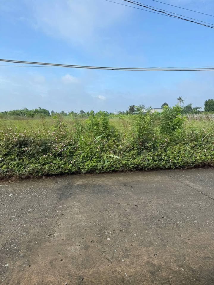 Đất thổ cư Hòa Phú Châu Thành 300m² giá 1.05 tỷ - Đường rộng thông thoáng!