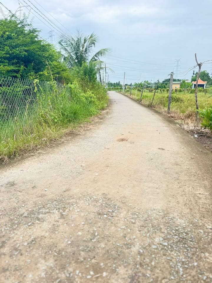 Đất nền Bình Quới, Châu Thành, Long An 1100m² giá 1.9 tỷ - Cơ hội đầu tư tuyệt vời!