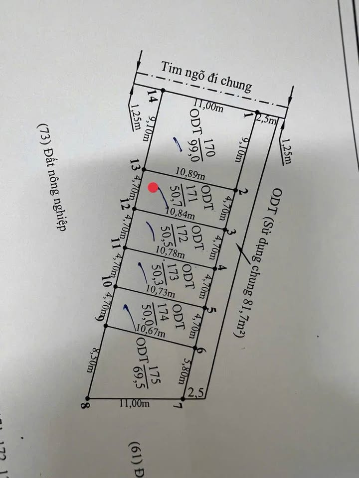 Đất nền chính chủ Hòa Nghĩa, Dương Kinh 50m² giá 1 tỷ - Cơ hội đầu tư sinh lời!