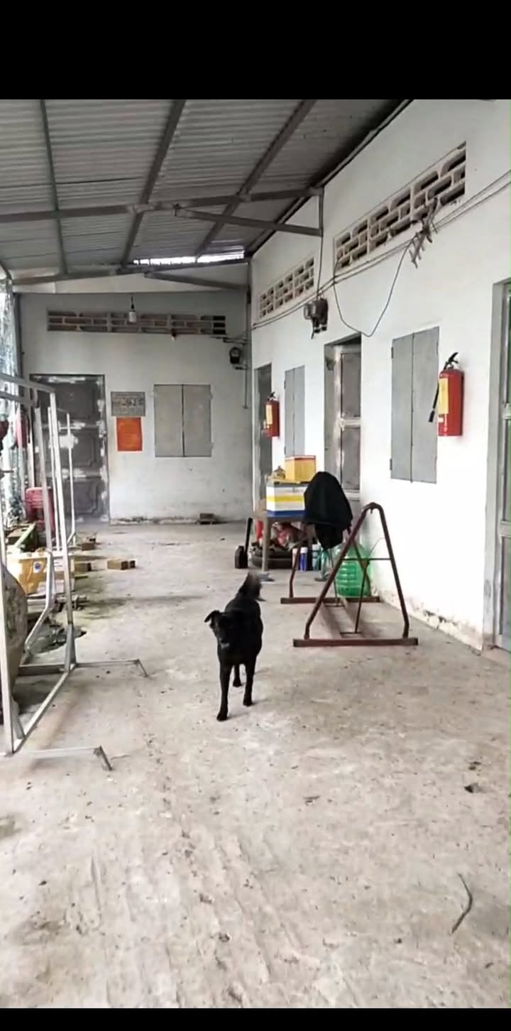 Nhà và Dãy Nhà Trọ Kinh Doanh Tại An Thái Đông 300m² Giá 2 Tỷ - Cơ Hội Đầu Tư Hấp Dẫn