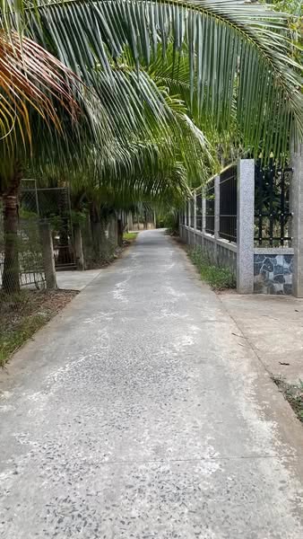 Đất 1 Công Tại Tân Thanh, Giồng Trôm Giá 400 Triệu - Cơ Hội Đầu Tư Tốt!