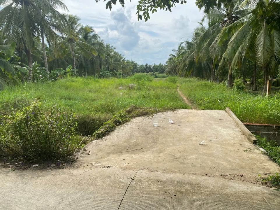 Đất công mặt tiền Giồng Trâm, Phú Nhuận, Bến Tre 4.445m² giá 8 tỷ - Cơ hội đầu tư hấp dẫn!