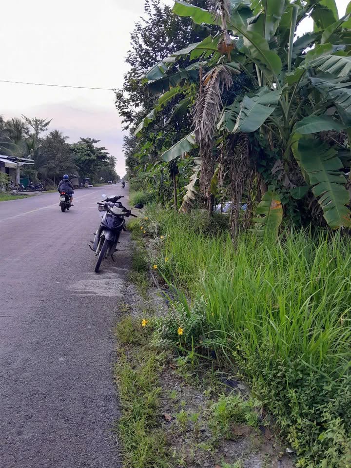 Đất nền mặt tiền đường 173, xã Châu Hòa, huyện Giồng Trôm, 769m² - Giá tốt cho đầu tư!