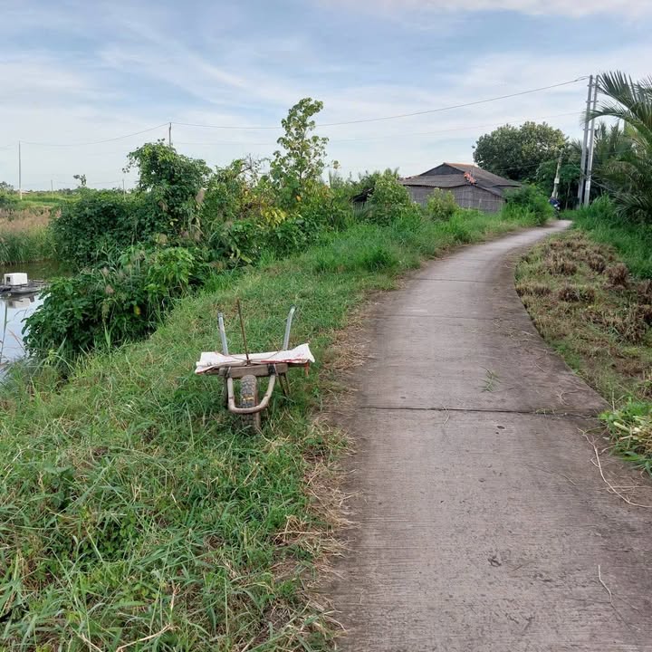 Đất nền An Qui Thạnh Phú 19,000m² - Đầy đủ tiện ích, giá thỏa thuận!