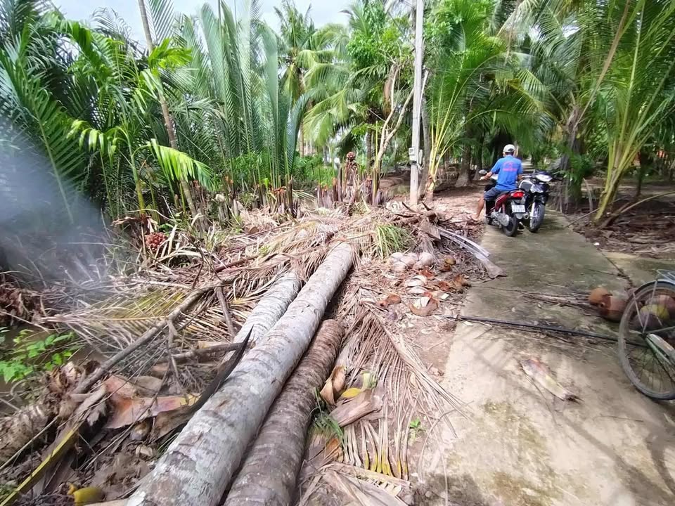 Đất nền Tân Thành Bình, Mỏ Cày Bắc 110m² chỉ 60 triệu - Giá tốt hiếm có!