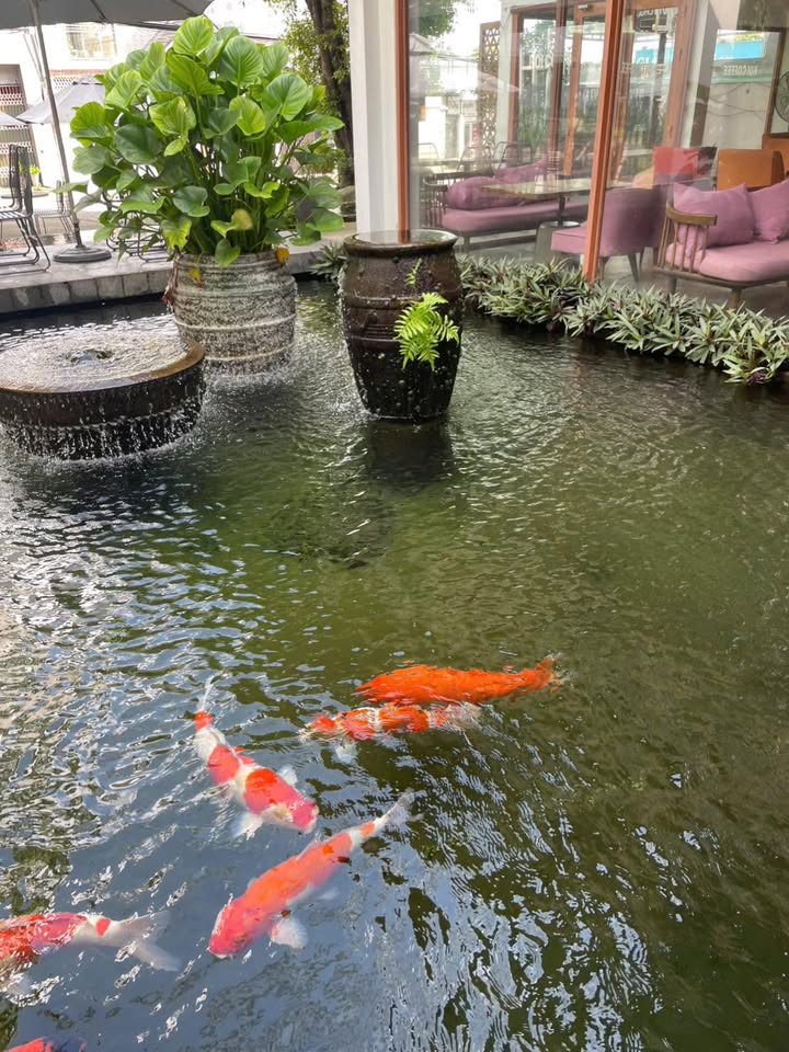 Đất Mặt tiền QL13, Thủ Dầu Một 1000m² giá 32 tỷ - Cơ hội đầu tư tiềm năng!