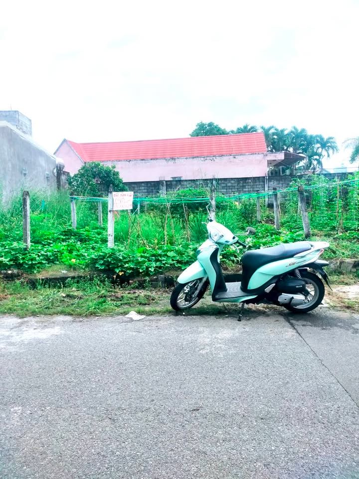 Đất thổ cư 124m² đường DX 127, Thủ Dầu Một - Giá chỉ 1,95 tỷ!