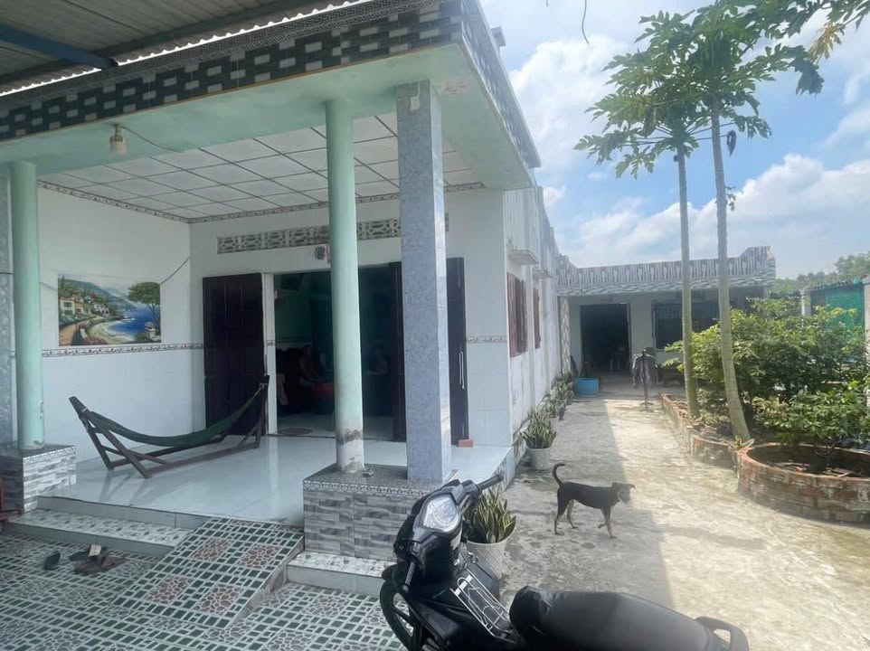 Nhà 1 trệt 202m² tại ấp 2 Thạnh Hòa, Bến Lức - Giá 1.5 tỷ, sẵn sàng vào ở!