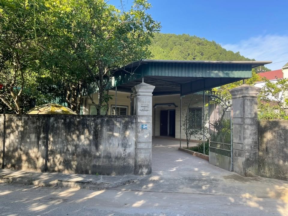 Nhà cấp 4 cho thuê tại Ngô Thì Nhậm, Vinh 500m² - Phù hợp gia đình lâu dài!