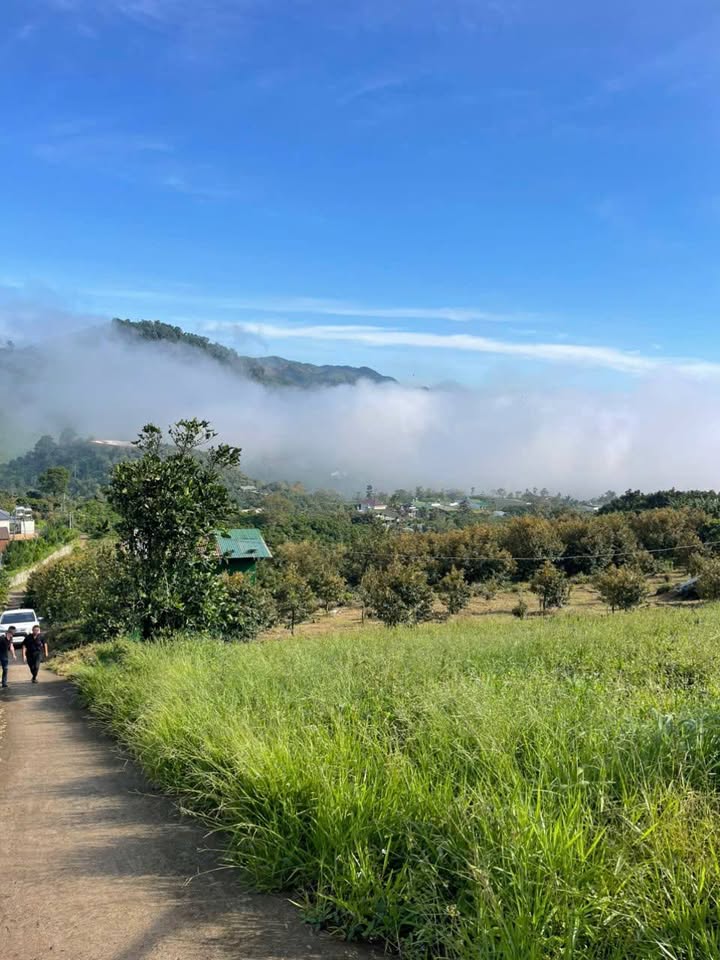 Đất nền Lộc Thành Bảo Lâm 7200m² giá 1.4 tỷ - Săn mây lý tưởng!