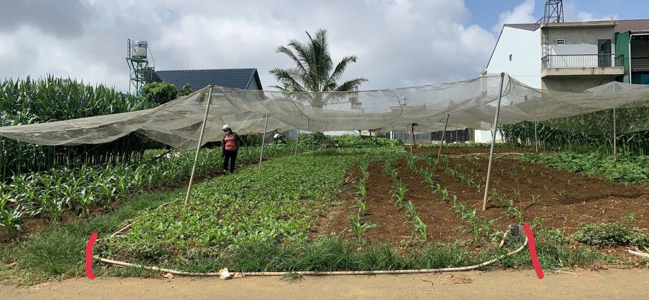 Đất Hẻm Ô Tô 130m² Phan Đình Phùng Bảo Lộc - Sổ Hồng Chính Chủ Giá 1.55 Tỷ!