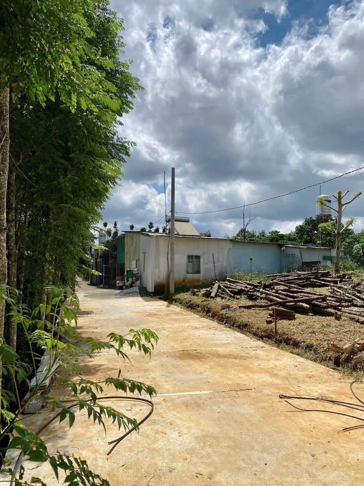 Đất nền biệt thự B'Lao - Bảo Lộc 500m² giá chỉ 1.45 tỷ - Vị trí đắc địa