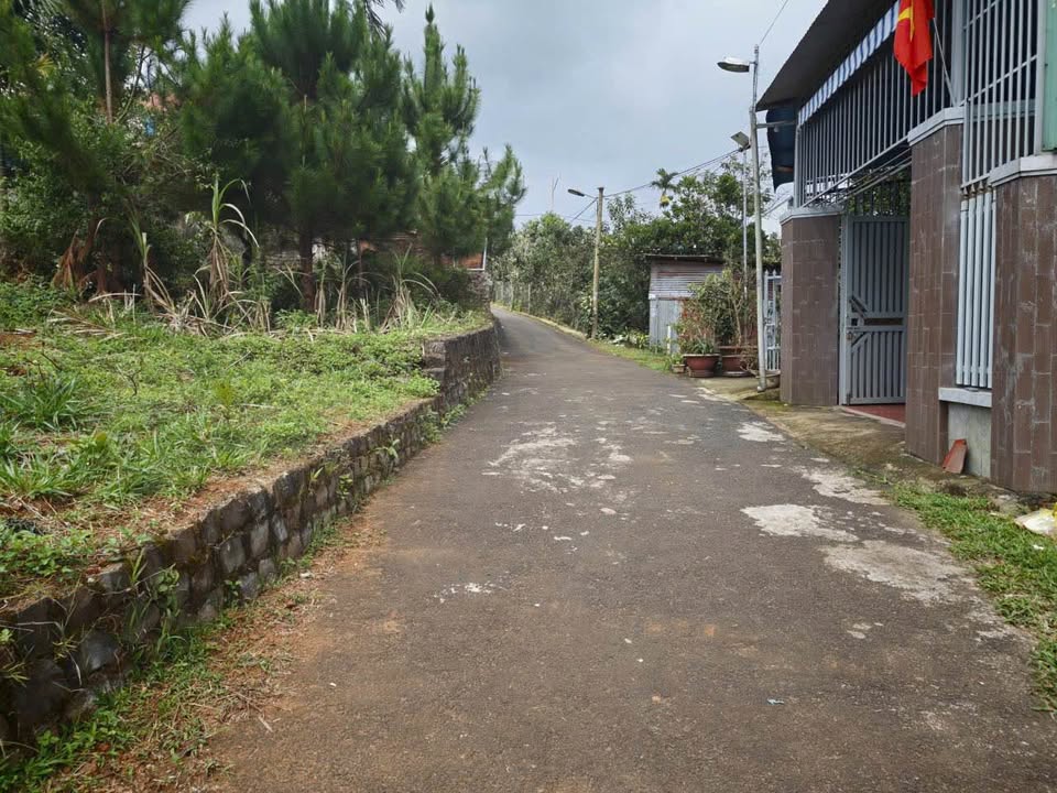 Đất thổ cư 250m² đường Trần Nguyên Hãn, Bảo Lộc - Giá chỉ 2.2 tỷ, bớt lộc!