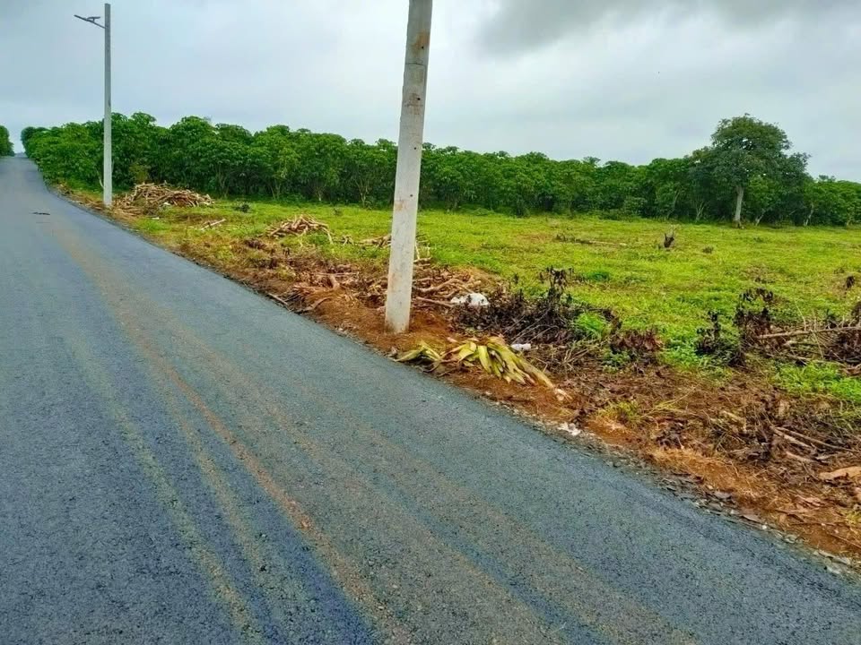 Đất nền Bảo Lộc 528m² giá 1.7 tỷ - Cơ hội đầu tư hấp dẫn!