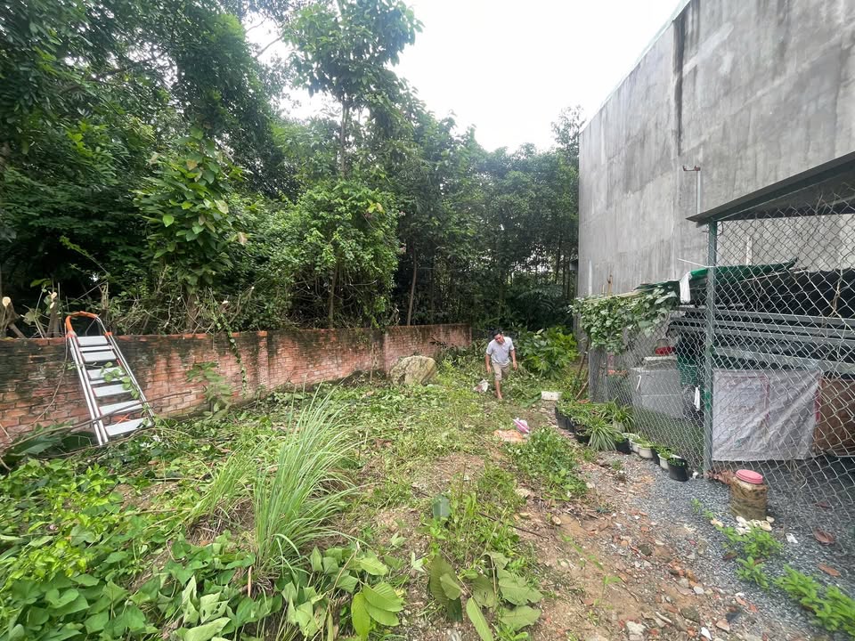 Đất nền 149m² mặt tiền đường Ống Nước, Tân Đông Hiệp chỉ 2.55 tỷ - Cơ hội đầu tư hấp dẫn!