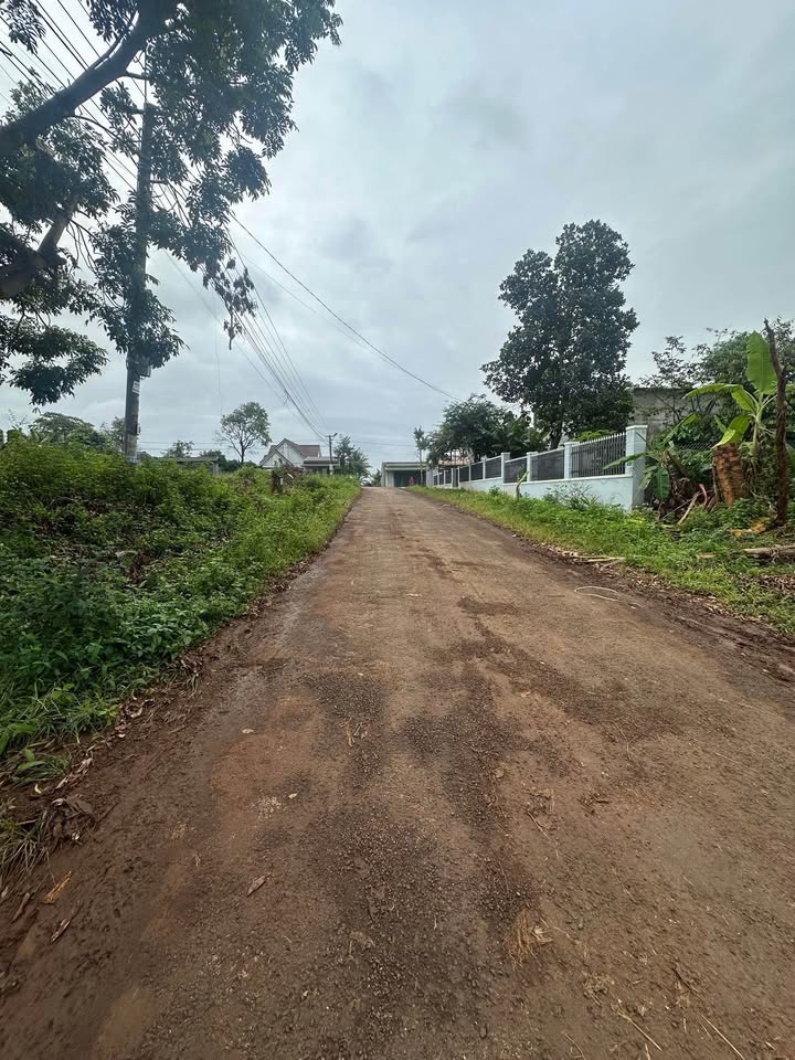 Đất thổ cư Cư Êbur Buôn Ma Thuột 96m² giá 1.25 tỷ - Cơ hội đầu tư hấp dẫn!