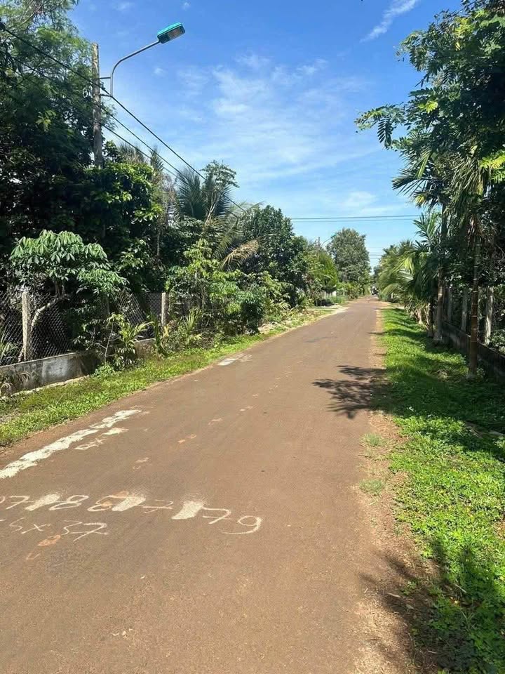 Đất nền Tân An, Buôn Ma Thuột 185m² giá 1.2 tỷ - Đầu tư sinh lời ngay!